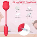 Replacement Charger